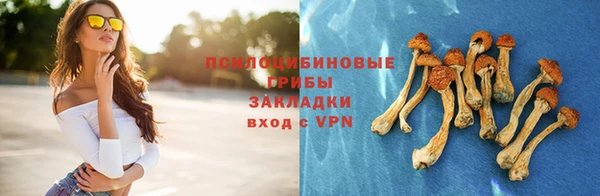 бутират Белокуриха